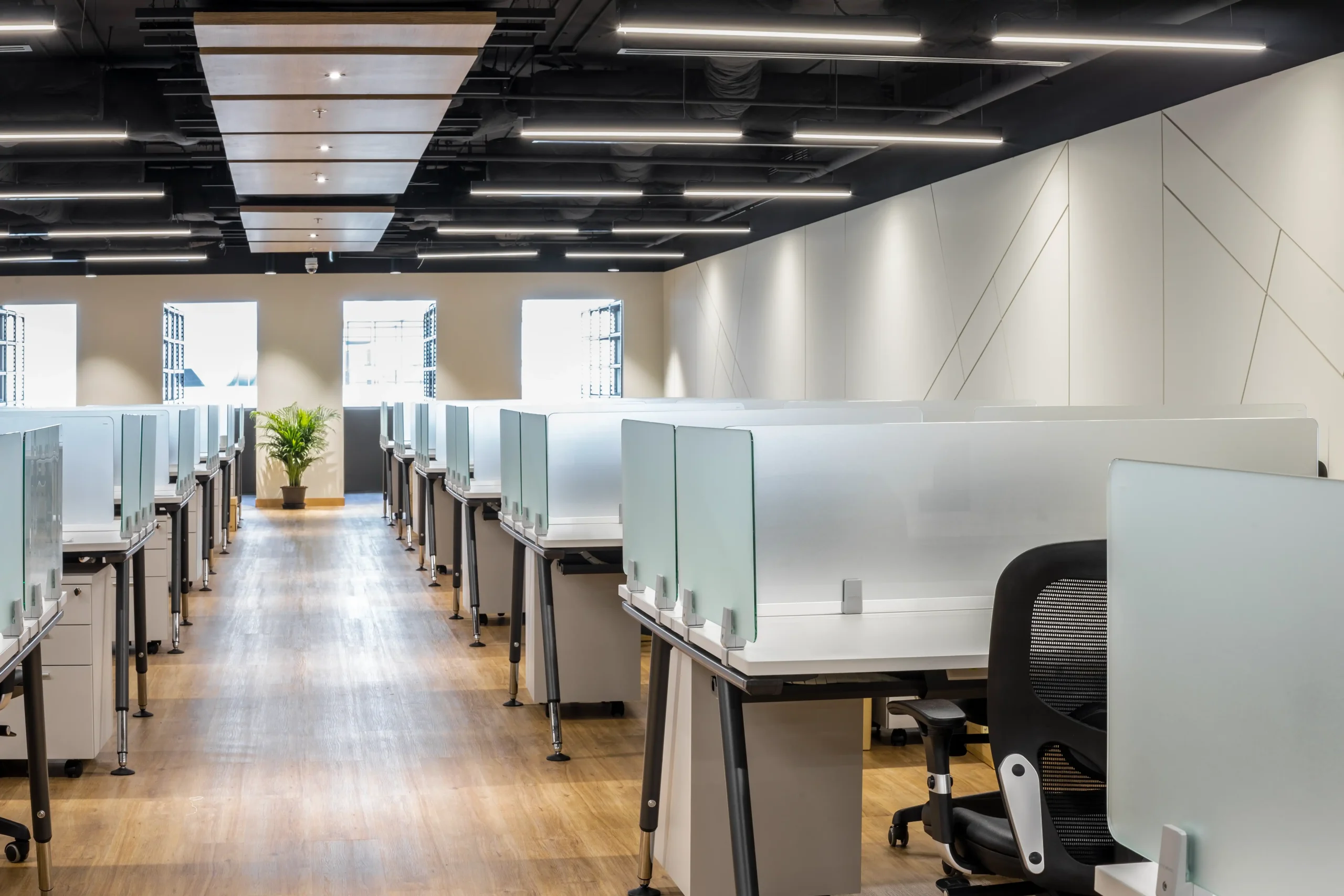Arcadis