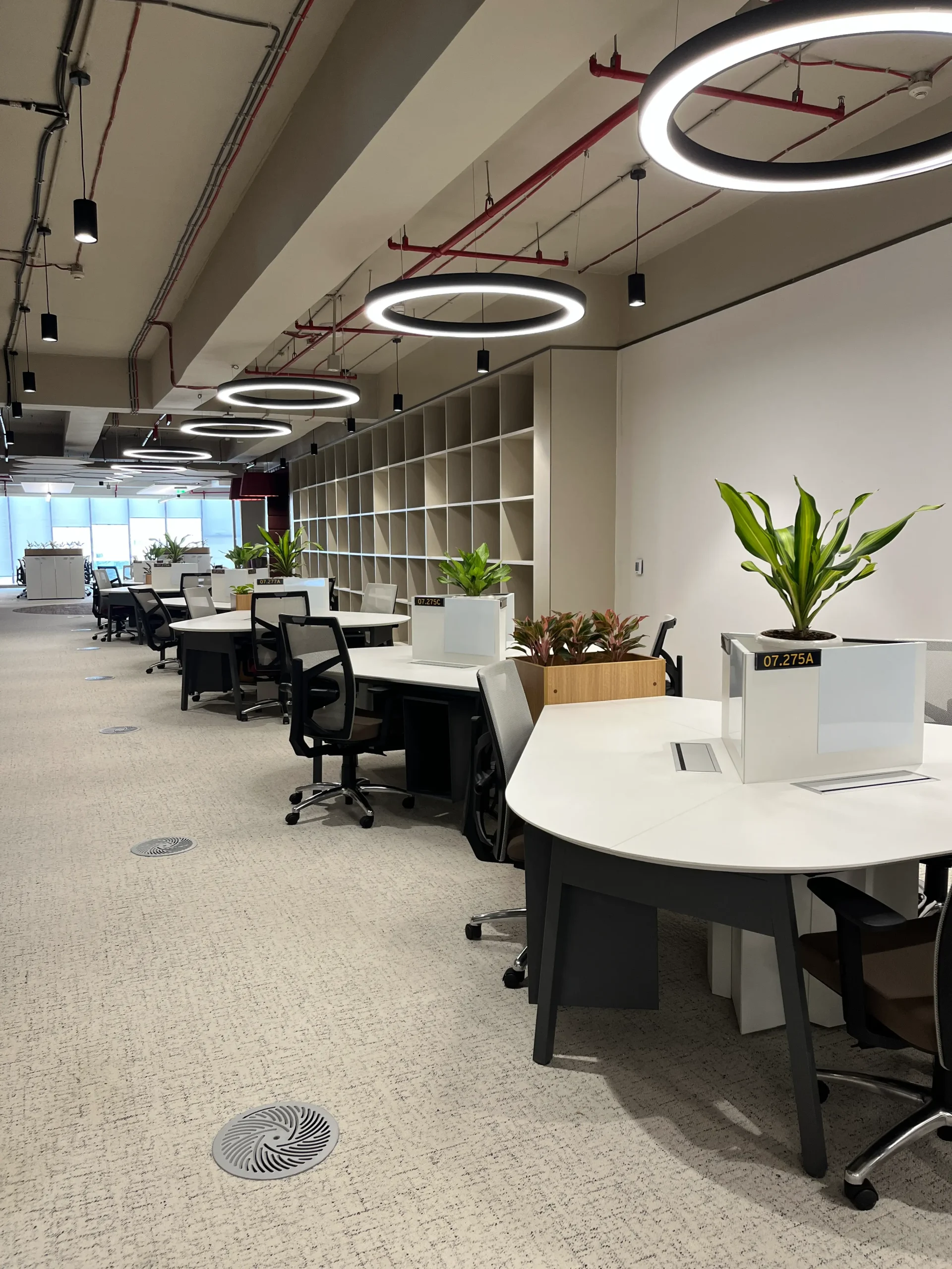 Ernst and Young (EY)